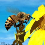 honeybee_photobucket_thumb