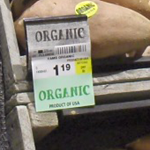 organic_potato